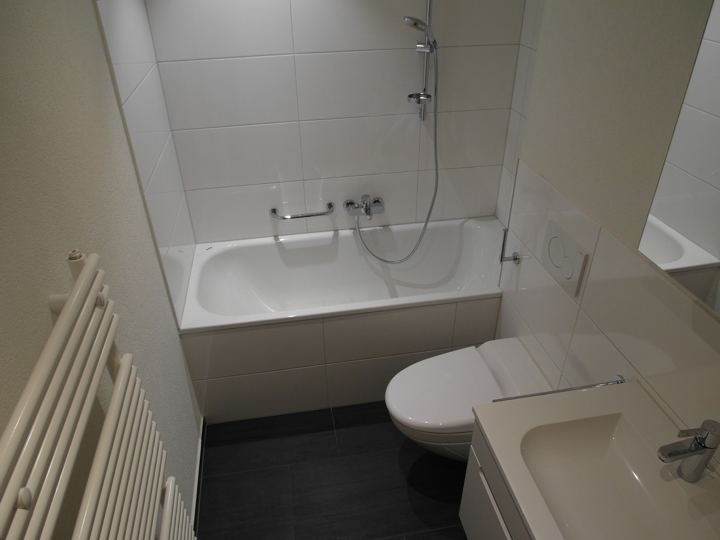 Renovation Badezimmer inkl. Plattenarbeiten